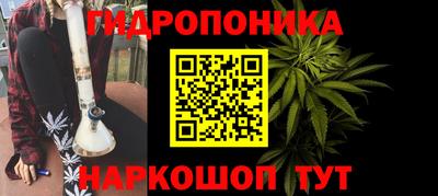 крисы Тверь