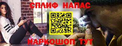 крисы Тверь