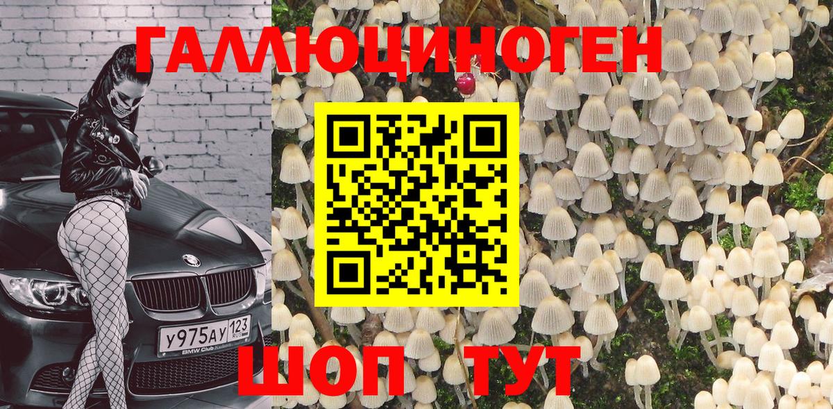 Псилоцибиновые грибы прущие грибы  Псилоцибиновые грибы мицелий  Вход с VPN  Отрадное 